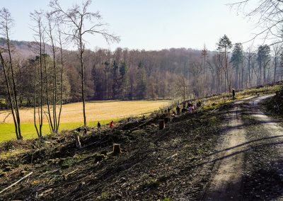 Baumpflanzaktion von Wohnmobilisten im Odenwald